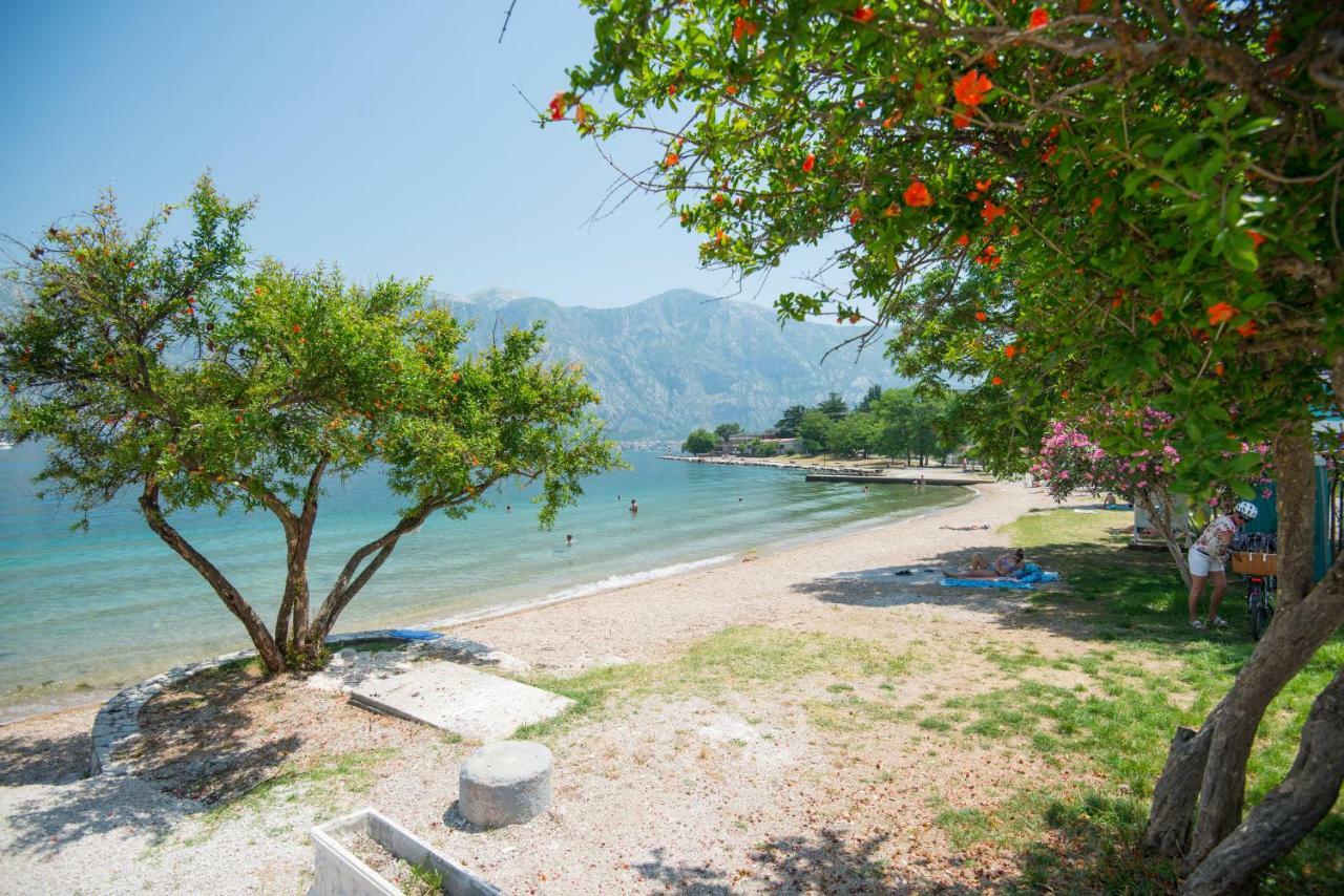 Villa Milami 科托尔 外观 照片